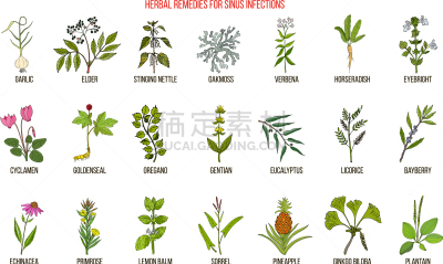 偏好,窦,草药,生物学,健康保健,药,甘草糖,环境,Eyebright
