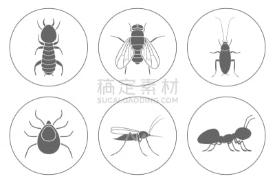 矢量,蜱,蚂蚁,蟑螂,白蚁,两翼昆虫,蚊子,图标集,家庭生活,病虫害防治机具