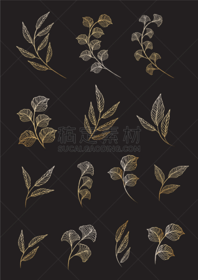 草本,叶子,天气,黄金,可爱的,华丽的,假叶树属,环境,收集,布置