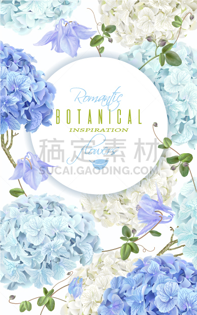 八仙花属,蓝色,白色,自然,请柬,图像,花朵,植物群,装饰