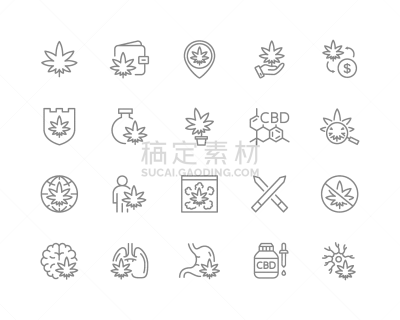 CBD,成一排,自然,化学制品,有机食品,健康保健,布置,收集