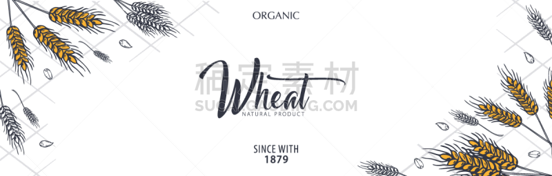 直的,小麦,面包店,插画,背景聚焦,传统,菜单,配方,清新,蛋糕
