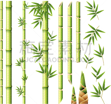 茎,叶子,笋,分离着色,白色,鸡尾酒,图像,矢量,植物,树