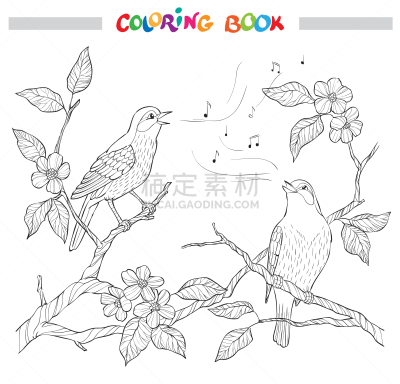 春天,鸟类,花头,园林,华丽的,直的,樱桃,装饰物,构图,唱