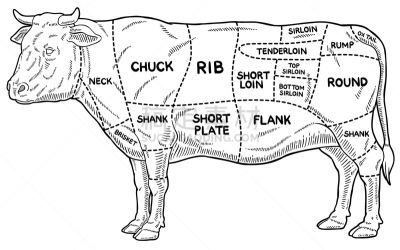 肉,图表,线条画,牛肉,卡通,轮廓,牲畜,白色背景,动物腿骨,牛胸肉