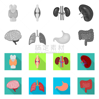 生物学,科学,标志,健康保健,整形器具,胃,人类消化系统,背的，脊的,思考,研究