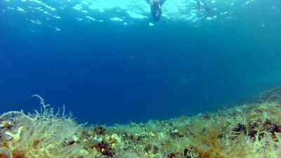浮潜