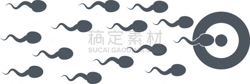 人,精子,动物背脊,白色,一只动物,卵子,卵巢,白昼,红色,式样