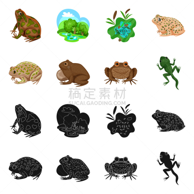 野生动物,藓沼,符号,生物学,有毒物质,环境,青蛙,草,动物,牛蛙