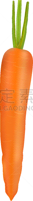 清新,熟的,胡萝卜,分离着色,白色,蔬菜,有机食品,自然,精神振作,写实