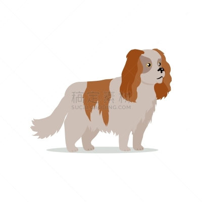 纯种犬,狗,扁平化设计,分离着色,可爱的,宠物,建筑外部,图像,服从