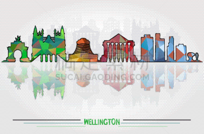 惠灵顿,城市,旅途,全景,图像,新西兰,纪念碑,矢量,大门,剪影