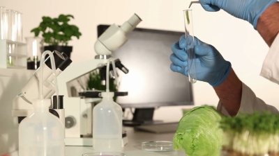 食品分析-生物实验室
