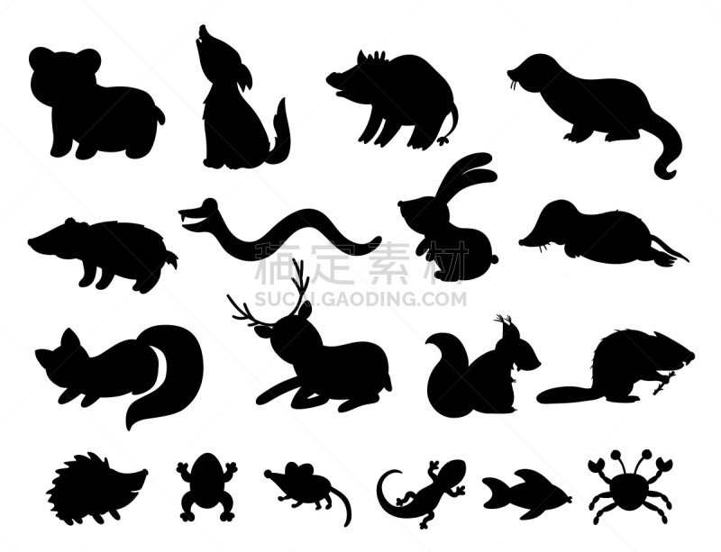 可爱的,动物,绘画插图,矢量,幽默,森林,树林,黑白图片,收集,绘制