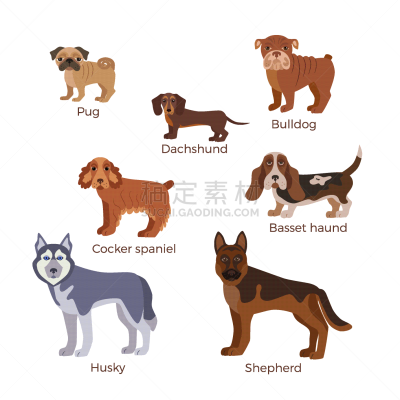 纯种犬,狗,华丽的,多样,巴哥犬,动物,斯班尼犬,腊肠犬,剪影,站