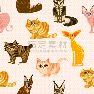 猫,卡通,四方连续纹样,可爱的,纯种犬,浣熊,哺乳纲,缅因州,动物