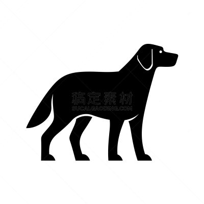 狗,品牌名称,分离着色,可爱的,宠物,自然,模板,商店,性格,动物
