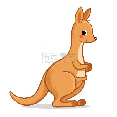 澳大利亚,动物,可爱的,绘画插图,袋鼠,矢量,白色背景