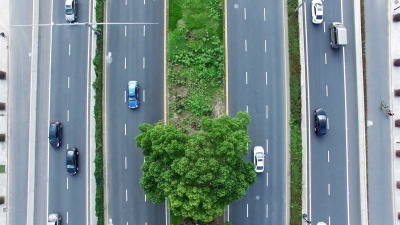 现代城市道路交叉口