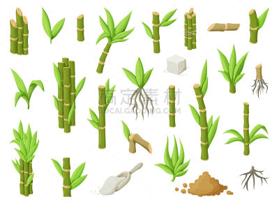 甘蔗,白色,卡通,叶子,生物学,农业,蔬菜,清新,环境,食品