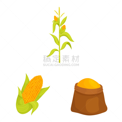 食品,甜玉米,标志,农业,蔬菜,谷物,清新,面粉,收集,设计