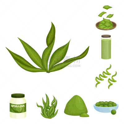 螺旋菌,标志,海草,素食,健康保健,螺线,清新,营养品,食品,成分