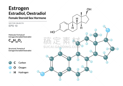 分子,三维图形,绘画插图,雌二醇,雌激素,原子,矢量,荷尔蒙,模型,公式