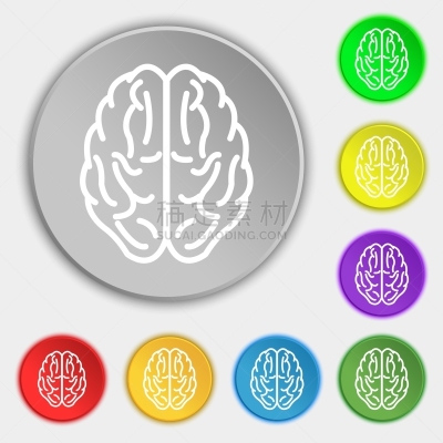 数字8,图标,平坦的,标志,按键区,脑部,分离着色,创造力,思考