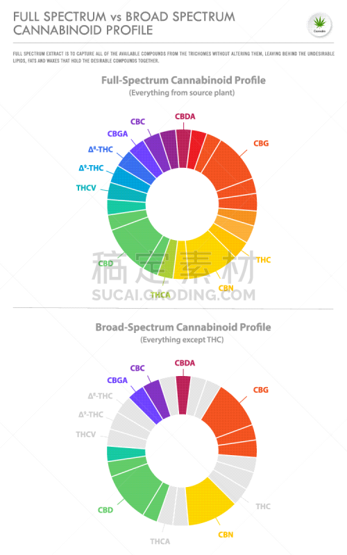 垂直画幅,商务,宽的,充满的,信息图表,光谱色,侧面像,脂肪细胞,植物,香熏油