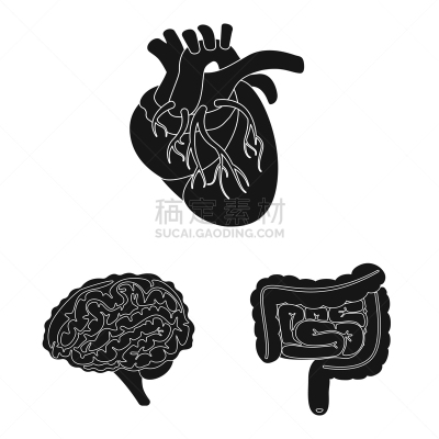 实验室,生物学,健康保健,植物群,主动脉,空肠,冠状动脉,脑回,研究,思考
