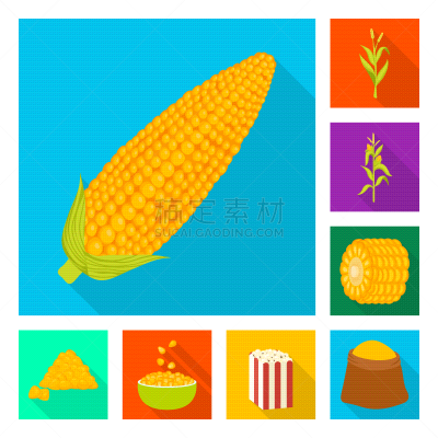 蔬菜,农业,热,谷物,清新,食品,熟的,成分,农场,阴影