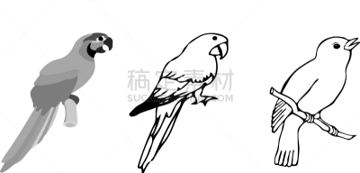 鸟类,白色背景,图标,野生动物,凉鞋,翅膀,老鹰,巨嘴鸟,动物