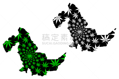 秘鲁,办公室,乌卡亚利,现代,草,植物,城市,剪影,除草