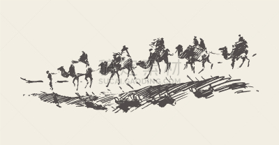 骆驼,沙漠,草图,旅行拖车,热,游牧民族,铅笔,哺乳纲,动物,搬迁
