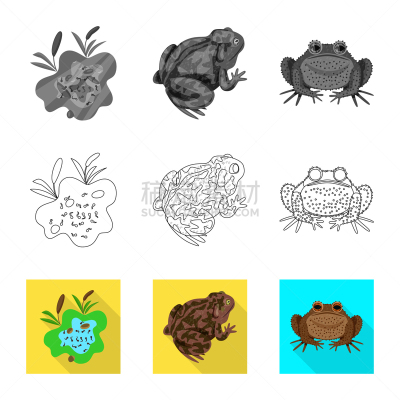 野生动物,分离着色,藓沼,一个物体,图标,生物学,有毒物质,环境,青蛙,布置