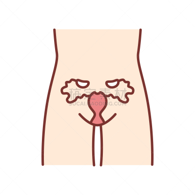 女人,绘画插图,里面,计算机图标,矢量,彩色图片