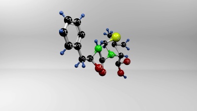 青霉素抗菌分子。
