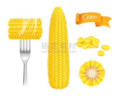 清新,玉米,仁,农作物,横截面,农业,蔬菜,谷物,写实,吃