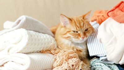 可爱的姜猫睡在一堆编织的衣服上。暖和的针织毛衣和围巾叠成一堆。毛茸茸的宠物在羊毛衫中间打瞌睡。舒适的家庭背景