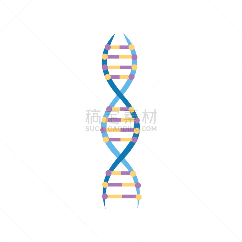 建造物,脱氧核糖核酸,计算机图标,酸,生物学,健康保健,螺线,生物化学,生物科技,教育