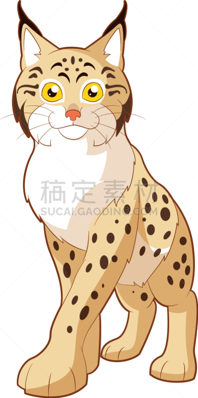 山猫,卡通,可爱的,狞獾,野生动物,肖像,哺乳纲,自然美,动物,微笑