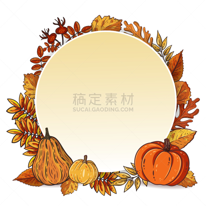秋天,南瓜,背景聚焦,叶子,人的耳朵,农民,田园风光,季节,圆形,橙色