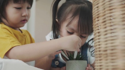 泰国孩子在家挖仙人掌，种仙人掌