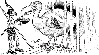 古代巨鸟,白色,黑色,图像,矢量,雕刻图像,马达加斯加,毛里求斯,已灭绝生物,复古