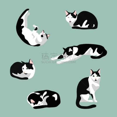 可爱的,绘画插图,猫,矢量,注视镜头,多样,背景,坐,睡觉,伸展