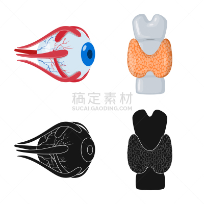科学,生物学,标志,眼球,角膜,人类骨架,人,背的，脊的,身体受伤,设计