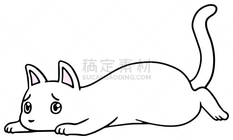 矢量,绘画插图,猫,惊骇,十二生肖,恐怖,简单,动物,宠物商店