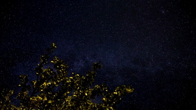 夜晚的星星