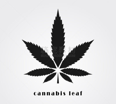 计算机图标,叶子,商务,健康保健,药,泰国,模板,草,品牌名称,植物