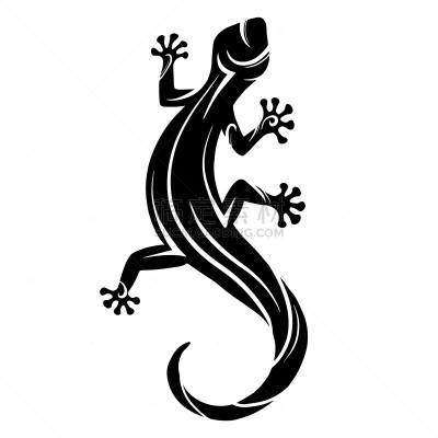 蜥蜴,品牌名称,爬行纲,绘画插图,矢量,白色,黑色,摆拍,动物,尾巴